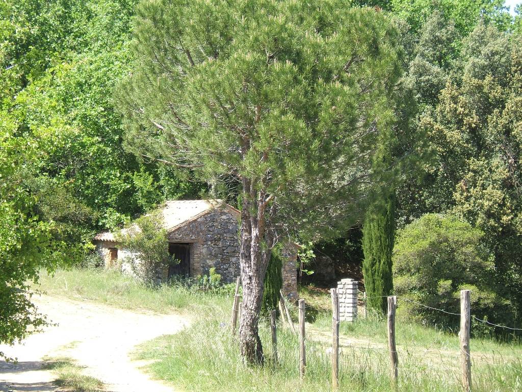 Autour de la maison