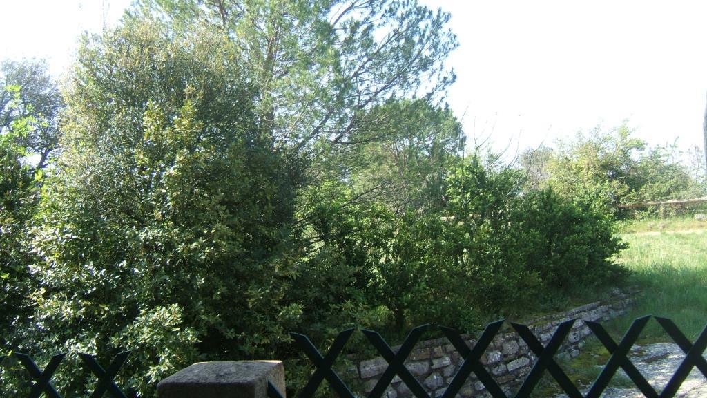 Terrasse d'accueil à La Roche